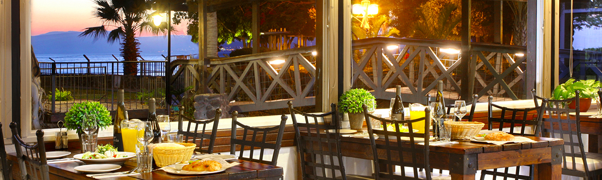 מסעדת הדגים עין גב